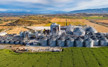 Cereal Docks acquisisce il 70% di Quality Corn e consolida la presenza in Europa