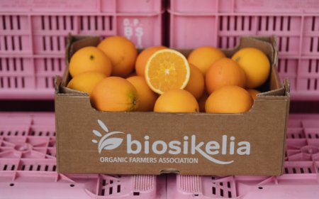 BioSikelia presenta Elorina: arance bio selezionate per ogni fase della stagione