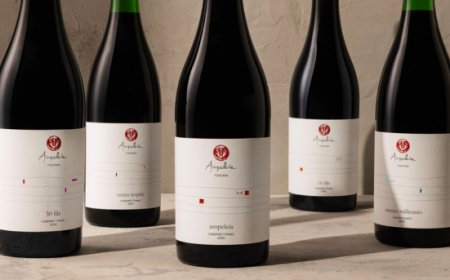 Ampeleia ridisegna la propria identità: nuove etichette e nomi per i vini toscani