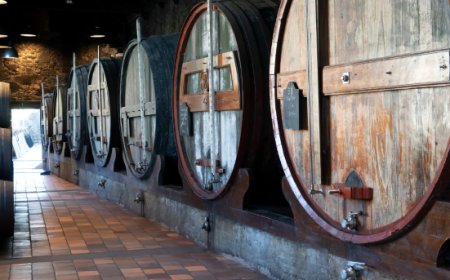 Scopri la parola del giorno su WikiHoreca.com: Affinamento del Vino