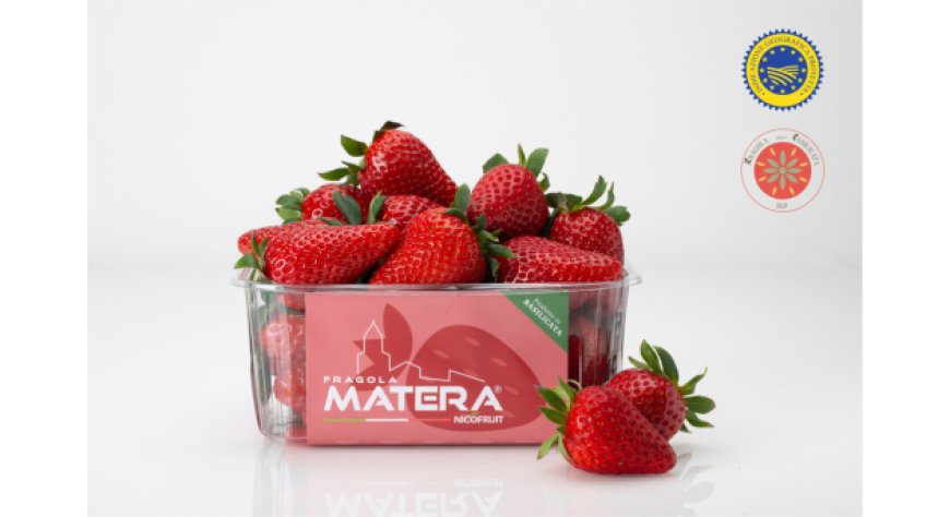 IGP alla Fragola della Basilicata: un traguardo storico per l'agricoltura regionale