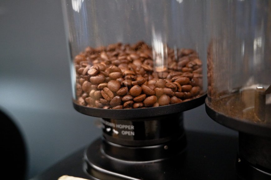 Dalla Corte prepara i finalisti del Campionato Italiano Latte Art: warm up esclusivo nell'Officina