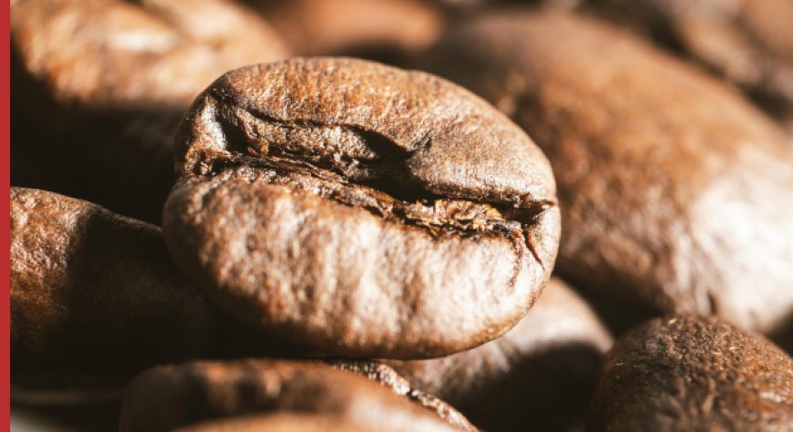 Scopri la parola del giorno su WikiHoreca.com: Tostatura del Caffè