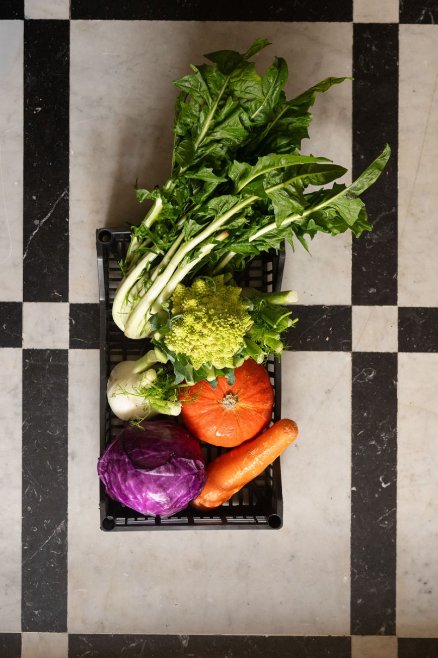 CAMPO: l'osteria moderna che recupera la cucina contadina italiana