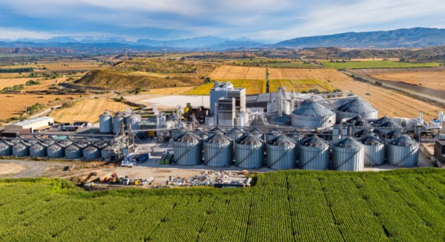 Cereal Docks acquisisce il 70% di Quality Corn e consolida la presenza in Europa