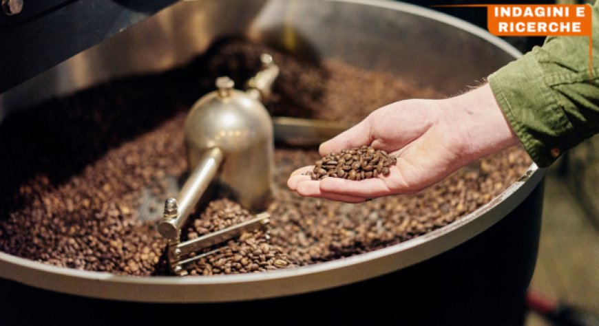 Torrefazioni italiane: l'analisi di Competitive Data nel triennio 2022-2024