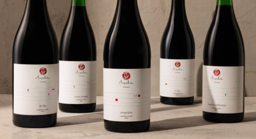 Ampeleia ridisegna la propria identità: nuove etichette e nomi per i vini toscani