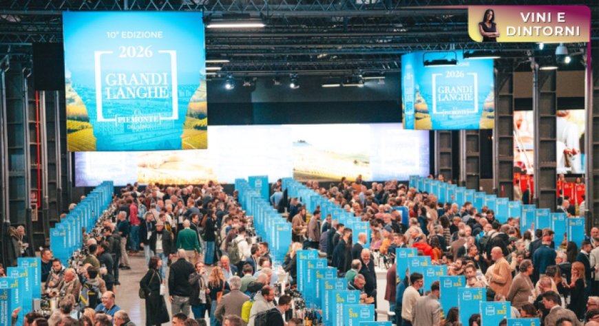 Grandi Langhe 2026: il Piemonte del vino gioca la partita della riconoscibilità territoriale