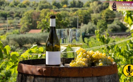 Vino: dal 15 febbraio al via la prima campagna istituzionale del Masaf