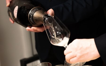 ONAV rinnova i corsi per assaggiatori di vino: focus su dealcolizzati e dimensione sensoriale