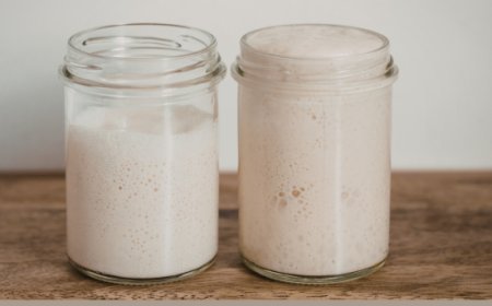 Scopri la parola del giorno su WikiHoreca.com: Lievito Madre