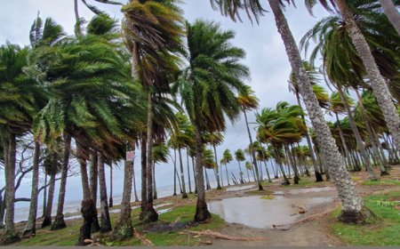 Beverage e ristorazione a rischio dopo il ciclone Harry: l'appello di Assobibe
