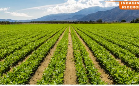 Mercato bio europeo: vendite a 58,7 miliardi. Italia leader nei risultati