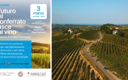 Monferrato: tre consorzi insieme per costruire il piano di sviluppo della filiera del vino