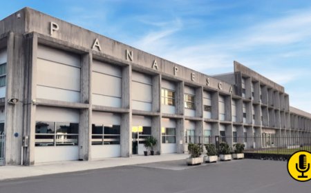 Panapesca: certificazione ISO 14001 e prodotti MSC in crescita