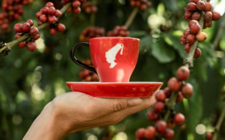 Julius Meinl raggiunge il traguardo del Responsibly Selected Coffee