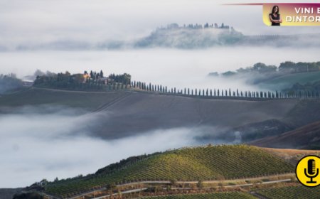 Montalcino tra identità e cambiamento: le sfide di una denominazione simbolo