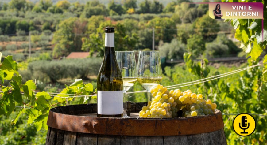 Vino: dal 15 febbraio al via la prima campagna istituzionale del Masaf