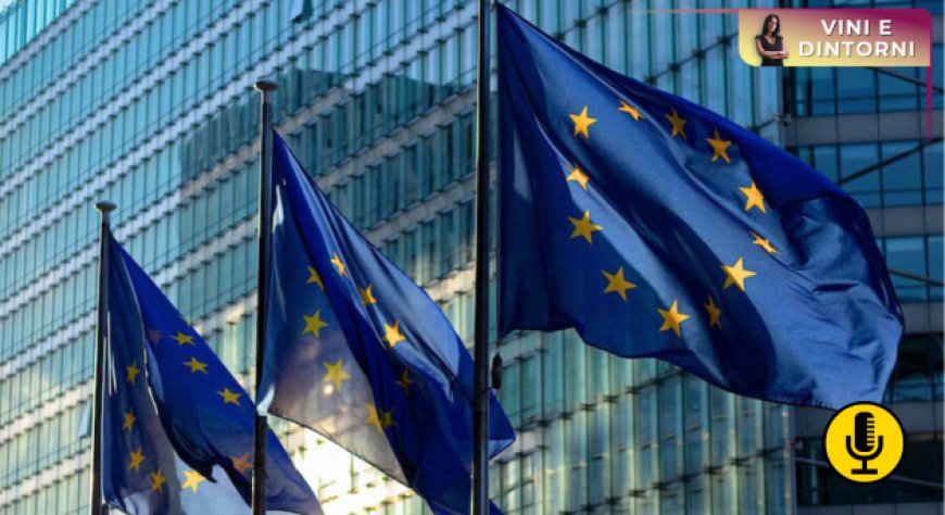 Pacchetto Vino UE: cosa cambia dopo l’approvazione del Parlamento europeo