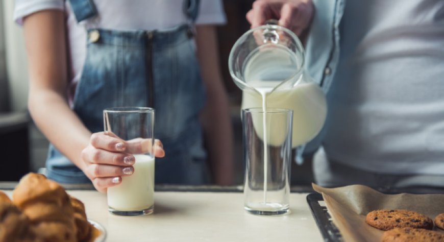 Latte e latticini in calo: campagne di promozione e nuove leggi per rilanciare i consumi in Europa e Usa