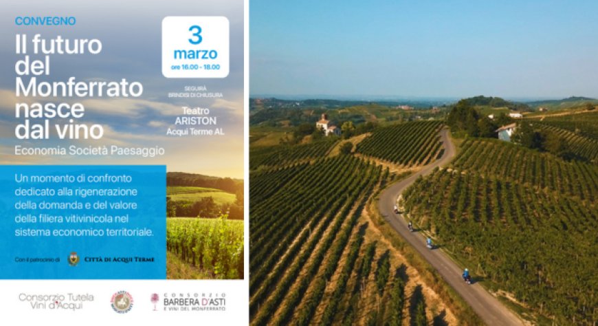 Monferrato: tre consorzi insieme per costruire il piano di sviluppo della filiera del vino