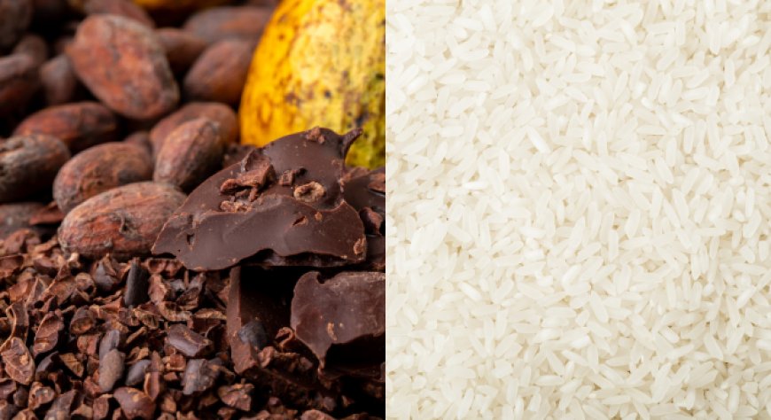 Aretè: Cacao ai minimi degli ultimi due anni e mezzo, riso nazionale sotto pressione delle importazioni extra-UE