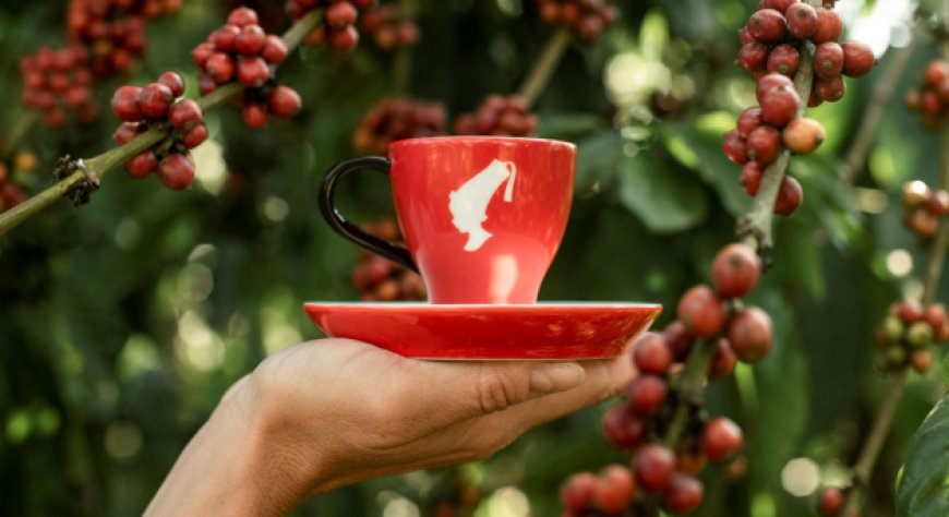Julius Meinl raggiunge il traguardo del Responsibly Selected Coffee