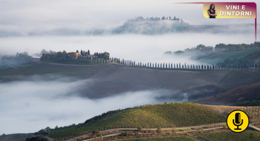 Montalcino tra identità e cambiamento: le sfide di una denominazione simbolo