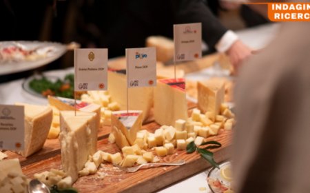 Formaggi DOP e IGP nella ristorazione italiana: AFIDOP presenta l'indagine sui menù online
