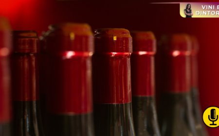 Fine wines, da eredità a scelta: chi sono i nuovi consumatori e come cambia la scoperta dei vini di pregio