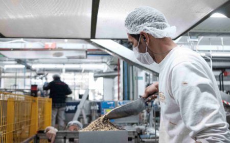 Il gelato italiano conquista l'Asia: dati record e nuove strategie di espansione