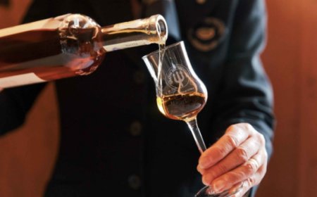 Prima Giornata Internazionale della Grappa: disciplinare e territorio come garanzia