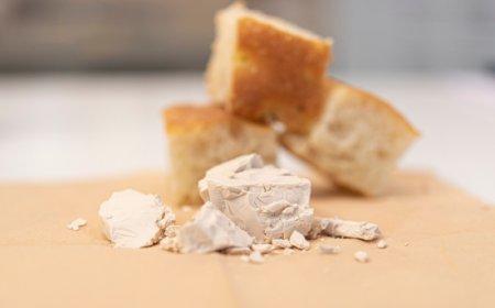 ASSITOL: le aziende italiane del lievito da panificazione sempre più green