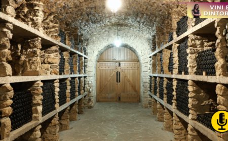 Cantine piene, mercati instabili: perché il sistema vino italiano deve diventare più flessibile