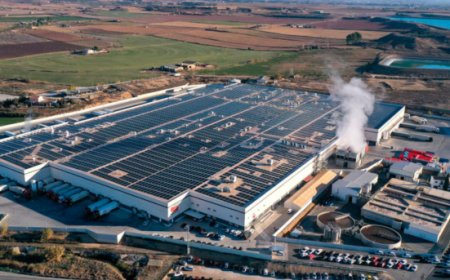 Gruppo Pini chiude il 2025 in crescita e guarda al polo Ferrarini del futuro