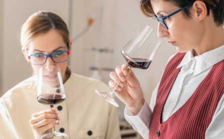 Nasce il Master Sommelier ONAV: 50 ore tra neuroscienze, cultura del cibo e alta ristorazione.