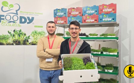Microgreens: il nuovo ingrediente che apre inediti orizzonti alla mixology