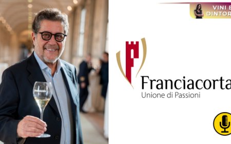 Franciacorta, il modello che governa valore e crescita in mercati complessi