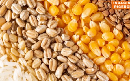 Vale 37 miliardi la filiera cerealicola italiana: tra sfide globali e spinta all'innovazione