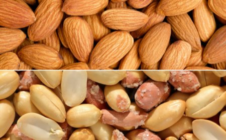 Arachidi e mandorle: surplus globale e prezzi in tensione nel 2026