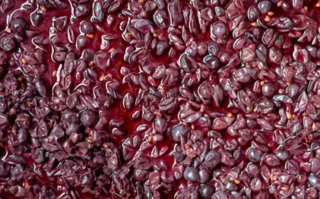 Scopri la parola del giorno su WikiHoreca.com: Mosto d'uva