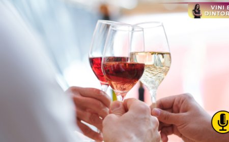 Francia: il vino tiene, ma cambia la geografia del consumo di alcolici