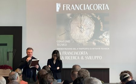 Dal clima alla vigna: Franciacorta pubblica il IV Rapporto Ricerca & Sviluppo 2026