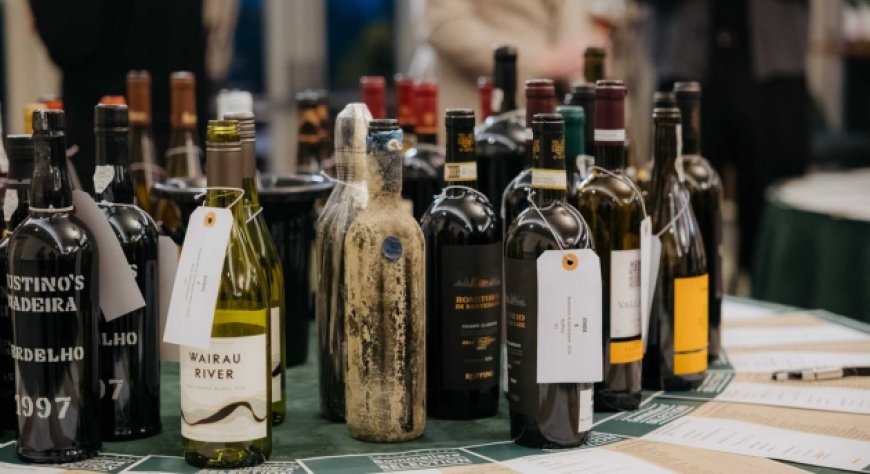 Tenuta Del Paguro nella World's Best Sommeliers' Selection 2026 con due etichette affinate in mare