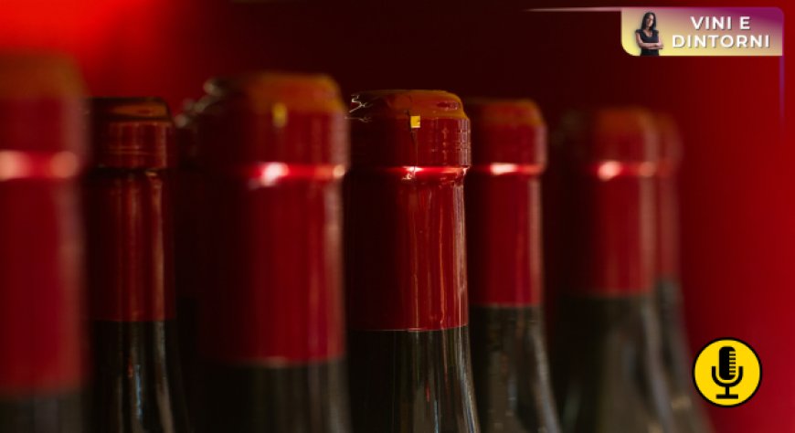 Fine wines, da eredità a scelta: chi sono i nuovi consumatori e come cambia la scoperta dei vini di pregio