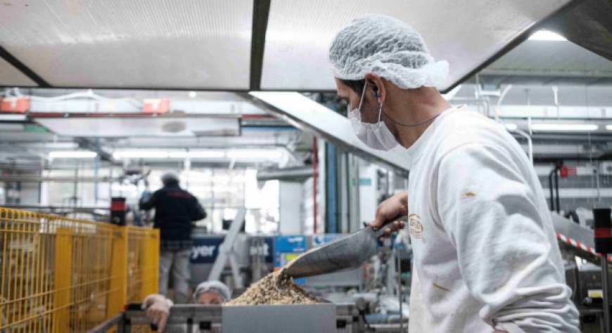 Il gelato italiano conquista l'Asia: dati record e nuove strategie di espansione