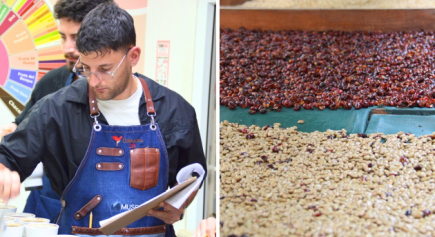 Emanuele Lezzi di Mokaroma Caffè in Honduras per selezionare i lotti della linea Filtery Selection