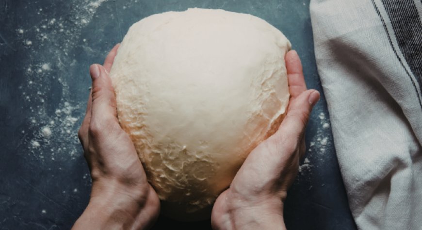 Scopri la parola del giorno su WikiHoreca.com: Lieviti selvaggi