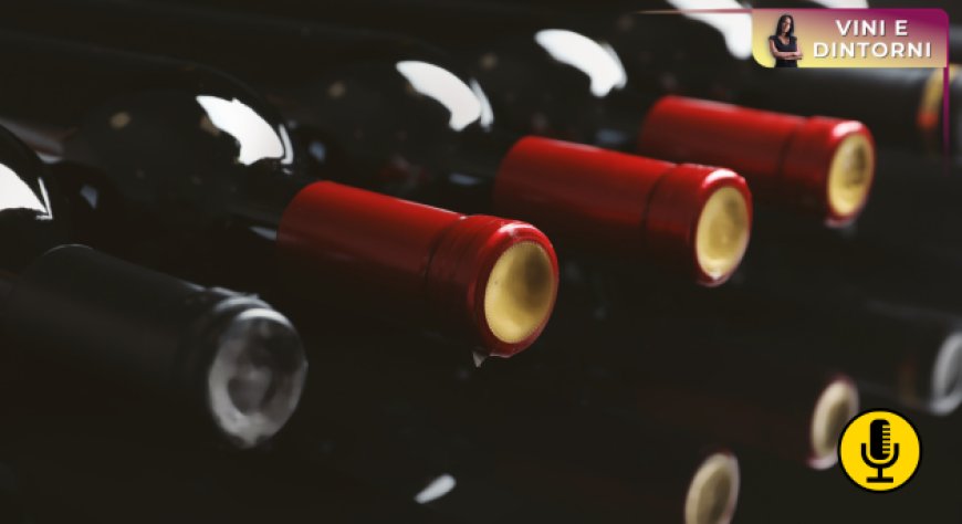 Vino: sequestrati 2,5 milioni di litri falsamente certificati Dop e Igp