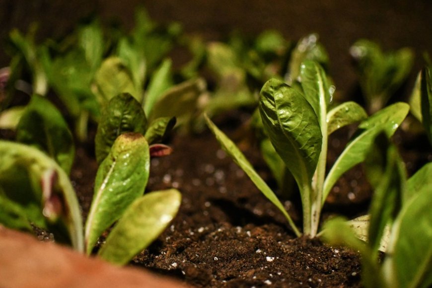 Al Ristorante ConTatto la prima tappa del percorso gastronomico diventa la grotta